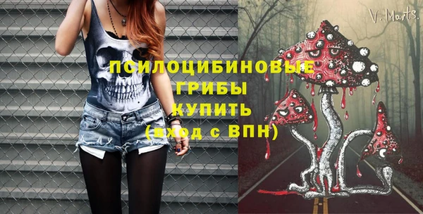 мет Анжеро-Судженск