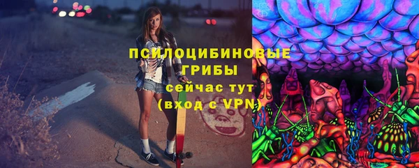 ALPHA PVP Белокуриха
