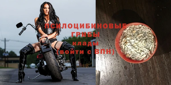 спиды Белоозёрский